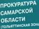 Тольяттинская зона. фото Дениса Кораблева, сайт Каспаров.Ru