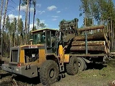 Заготовка леса. Фото с сайта m.gazeta.a42.ru