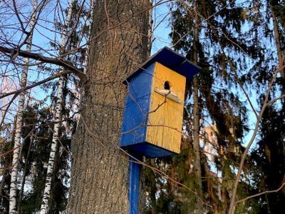 "Вражеский" скворечник. Фото: Александр Воронин, Каспаров.Ru